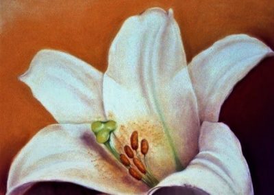 Lily 2