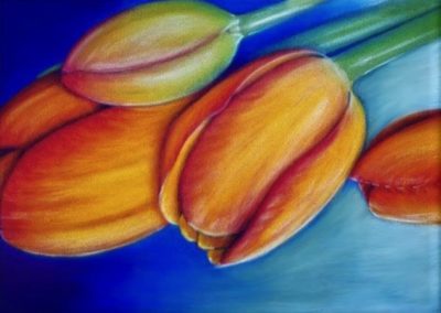 Tulips